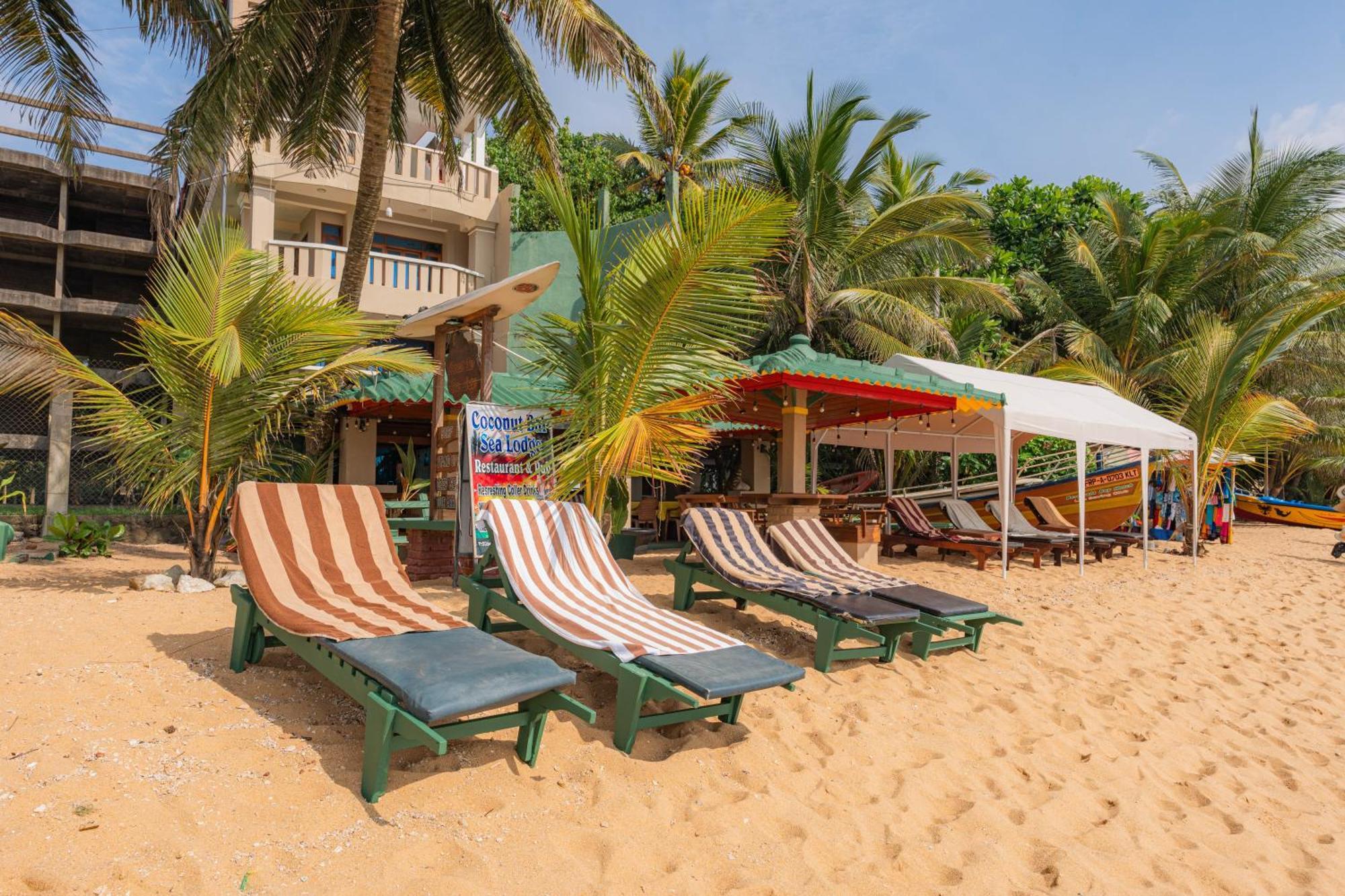 Hotel Coconut Bar Sea Lodge Beruwala Exterior foto